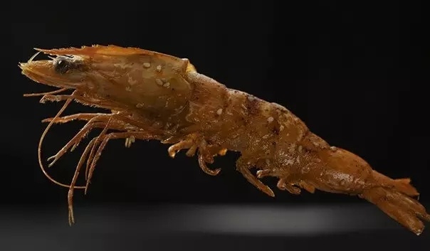 重庆隐藏在小巷的老字号美食店,重庆十大必吃菜馆