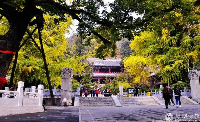 中国十大名寺之首清净寺,苏州市口碑高的十大寺
