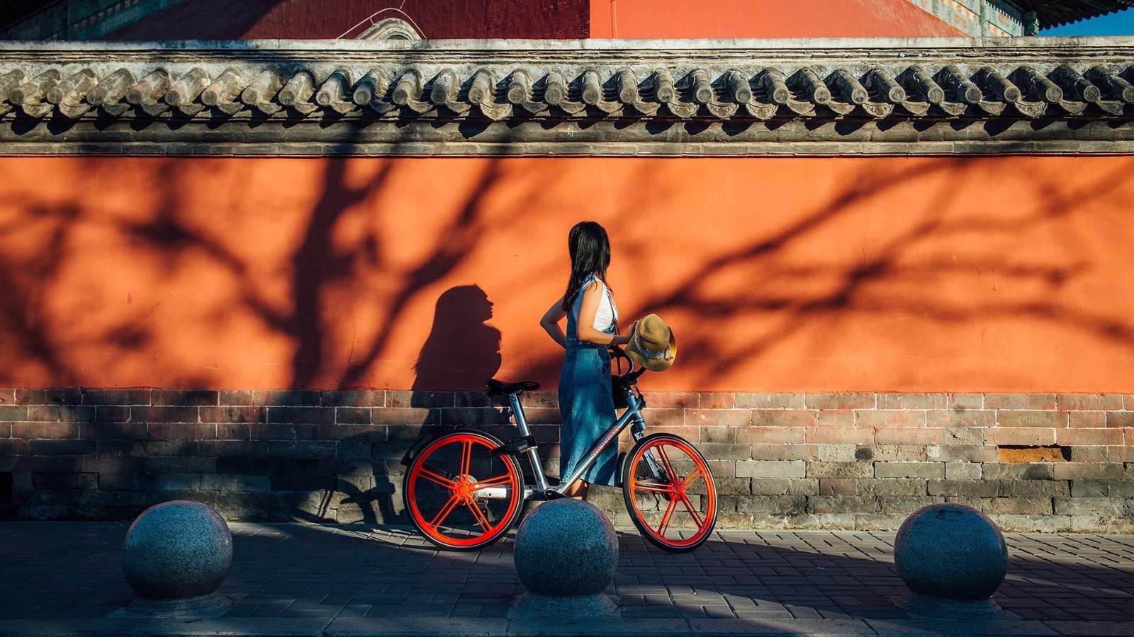 如何快速学会骑单车不用人帮,单车怎么免押金