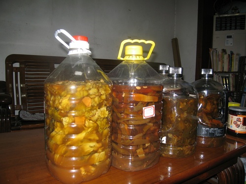 水果酵素都有哪些,神奇的酵素养生法全文阅读