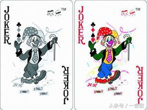 别耍套路、回农村了，创业者小春天来啦！