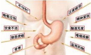 对胃很好的礼物,送给胃不好的人礼物