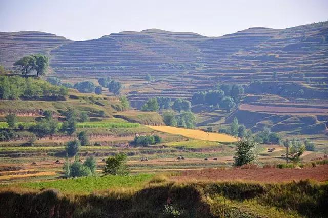 山沟沟里的风景最美,西北山沟沟景区