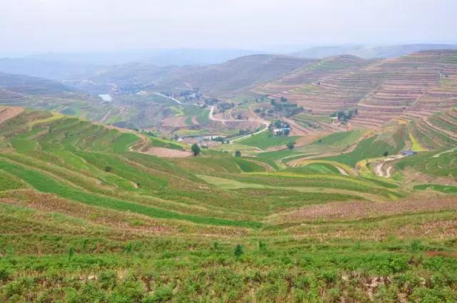 山沟沟里的风景最美,西北山沟沟景区