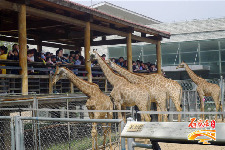 石家庄海山公园好玩吗,石家庄境内海山公园