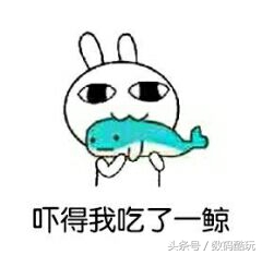 新规考驾照明年几月份开始,十月驾照新规是什么