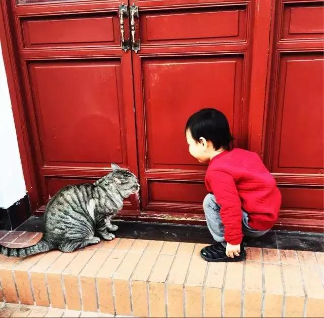 友说|来帝都这些美食没尝过，妄称吃货