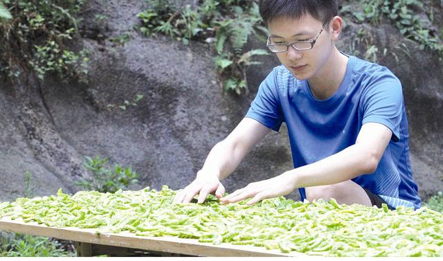 苦瓜的小妙用,苦瓜治痔疮是真的吗