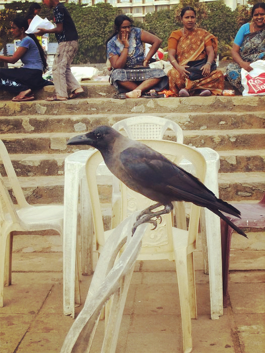 斯里兰卡生活水平怎么样,斯里兰卡的典型的生活方式