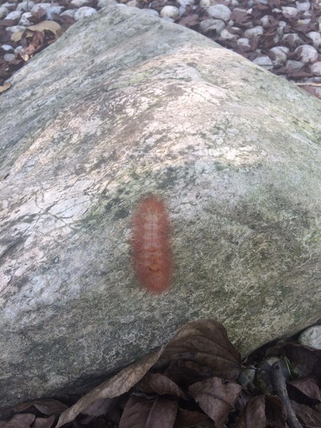 郧西五龙河景区,郧西五龙河在哪里