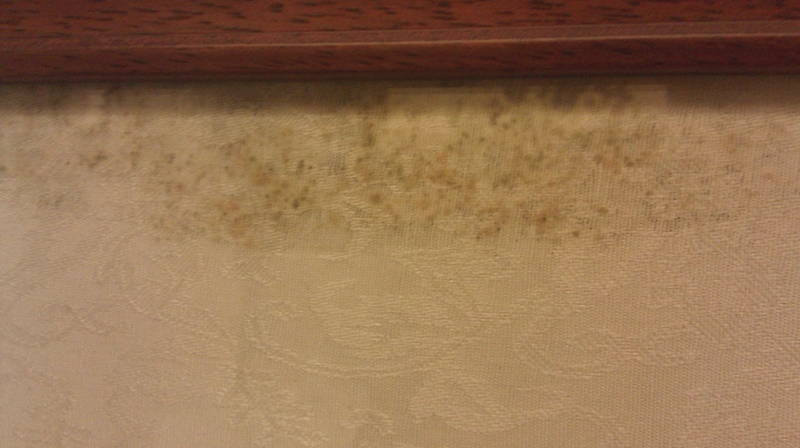 墙纸起翘怎么办,墙纸起翘用什么胶水修复