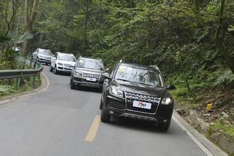 网约车标准车型要求 (深圳市网约车车型的标准)