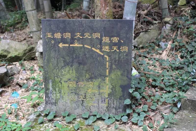 乐清杨八洞风景区,天下第九洞天一日游