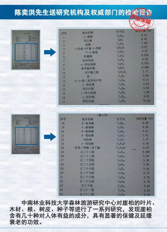 来吧来吧，崖柏吃、喝、抽、睡皆可以！