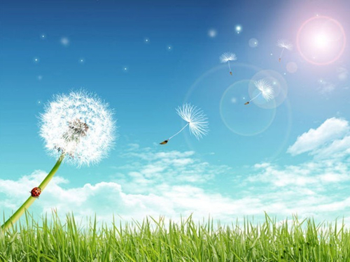 哪些蔬菜碰会过敏发痒,吃什么菜皮肤容易过敏和瘙痒