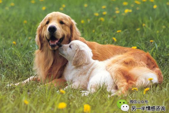 失恋的文案,失恋了怎么办才能最快走出来