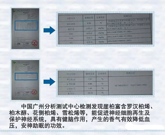 来吧来吧，崖柏吃、喝、抽、睡皆可以！