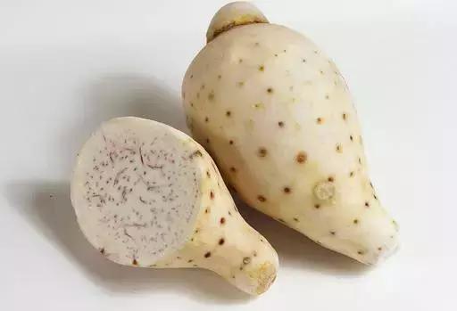 健康养生食物你学会了吗,24种健康养生的食物