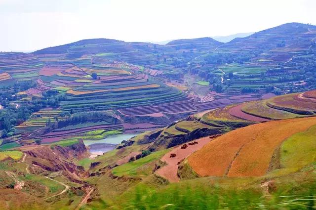 山沟沟里的风景最美,西北山沟沟景区