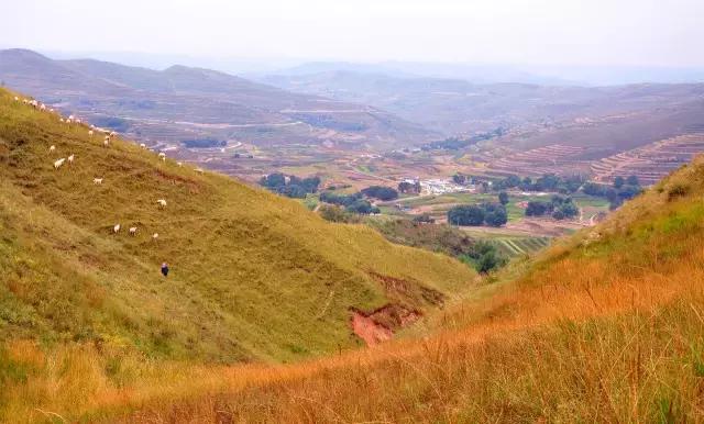 山沟沟里的风景最美,西北山沟沟景区