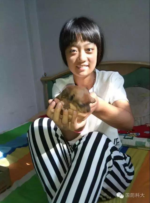 萌漫话女兵，女学霸的从军梦缘来如此