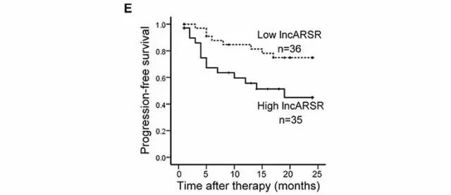 文献数据分析图表详细教程,医学数据如何整理分析