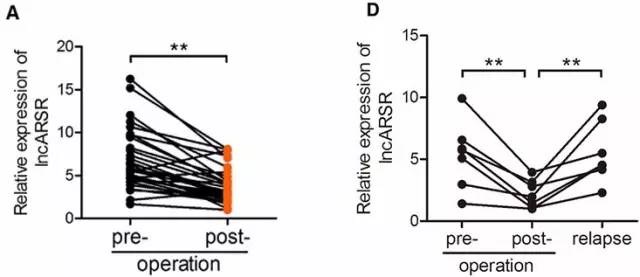 文献数据分析图表详细教程,医学数据如何整理分析