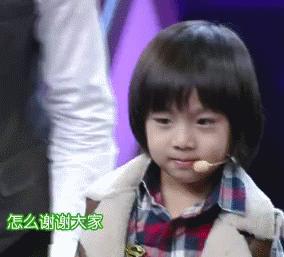 养一只荷兰猪需要花多少钱,养两只荷兰猪一个月需要多少钱