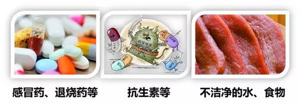 化学性肝损伤什么意思,怎么知道自己有没有化学性肝损伤