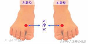 鼻出血中医辨证,治疗鼻出血的食疗方法有哪些