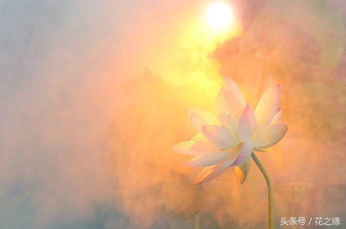 有心跳的生活，美景尽在眼下