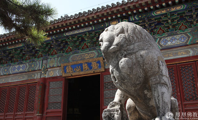 中国十大名寺之首清净寺,苏州市口碑高的十大寺