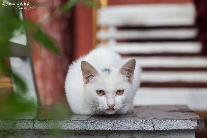 带着老婆去山上旅游,秘境之地在临沧