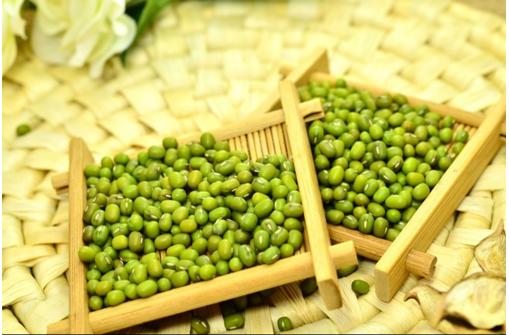 孩子发热处理步骤中医,孩子发热怎么办吃什么药