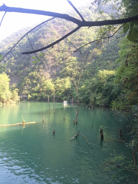 郧西五龙河景区,郧西五龙河在哪里