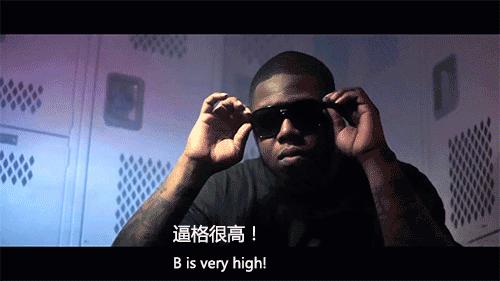 养一只荷兰猪需要花多少钱,养两只荷兰猪一个月需要多少钱