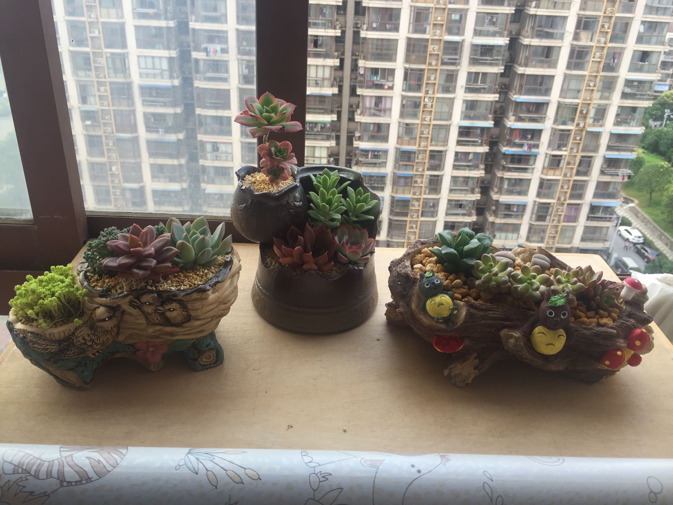 墙纸去除甲醛的方法,墙纸有甲醛的处理方法