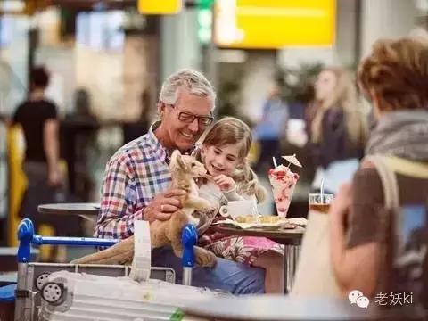 种草｜荷兰秋日伴手礼清单