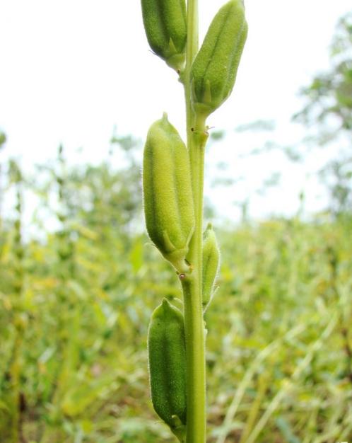 农民为啥不花钱,农民为什么不挣钱