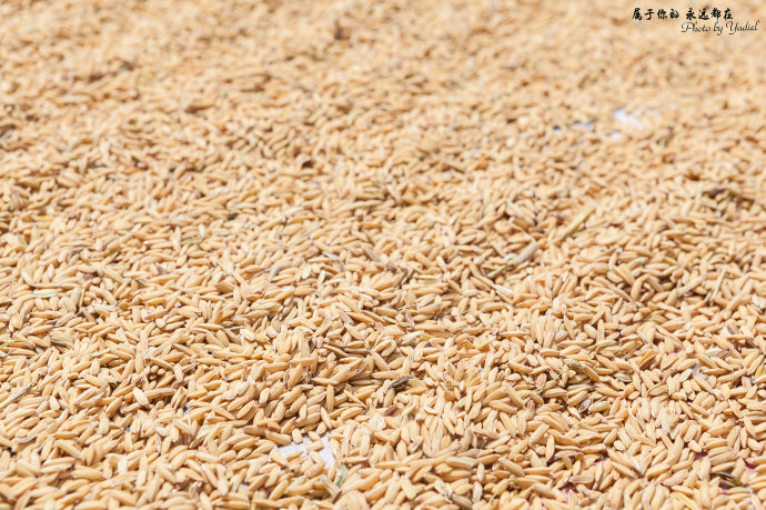 带着老婆去山上旅游,秘境之地在临沧