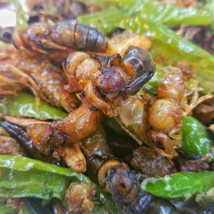 带着老婆去山上旅游,秘境之地在临沧