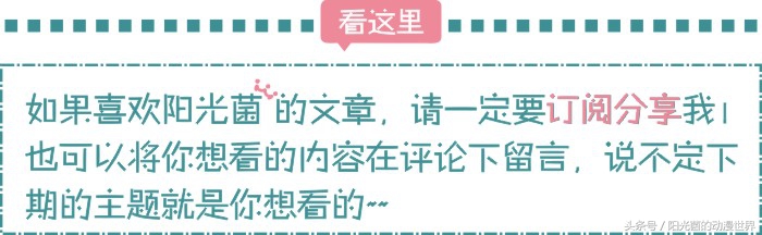 夏目式感动延续至今，《夏目友人帐》第五季之催人泪下的第二集