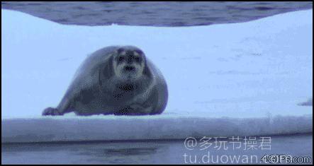 爱情搞笑动态图片,爱情搞笑动态图