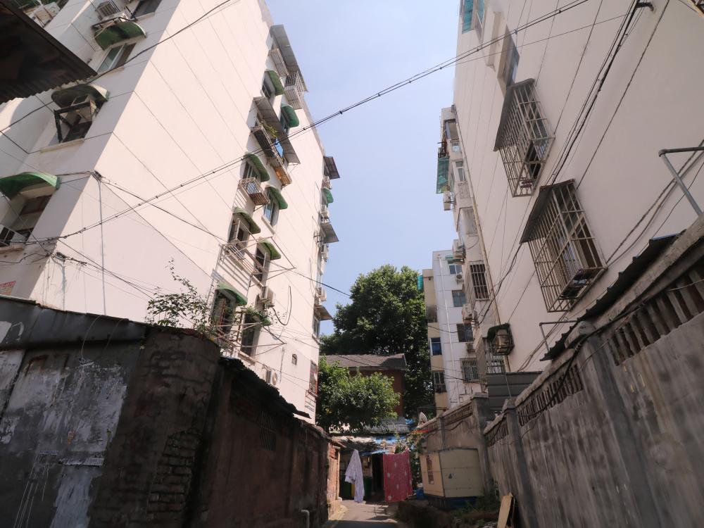 南京价格被低估的学区房,南京一线学区房跌吗