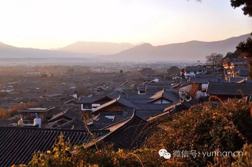 云南旅游红黑榜第十期,云南十一旅游公告