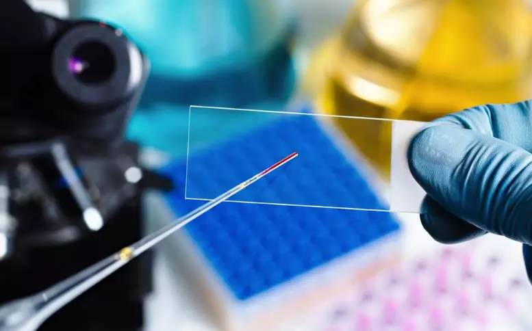 让你的体检报告说人话！高难度名词秒懂