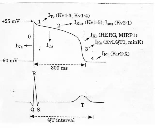 胺碘酮的十六种危险用法,胺碘酮的十六种致命顺口溜