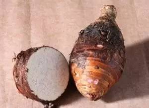 秋天要关注哪些健康问题,秋天要关注什么饮食