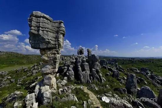 云南旅游红黑榜第十期,云南十一旅游公告