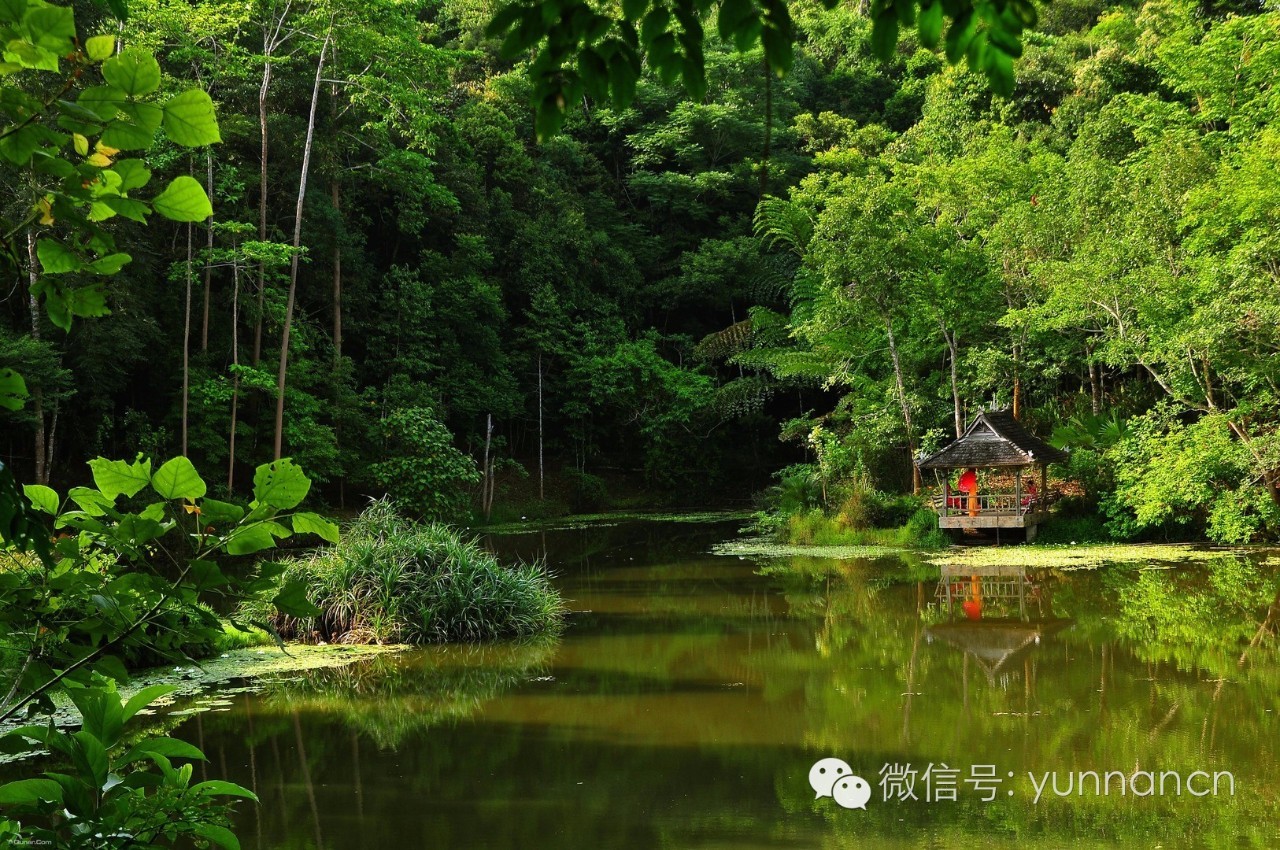 云南旅游红黑榜第十期,云南十一旅游公告